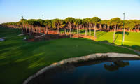 carya golf club